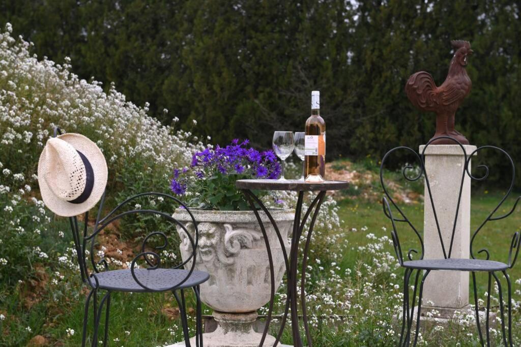 Le Galinie Chic'Art. Un Bel Atelier Avec Piscine Villa Carpentras Luaran gambar